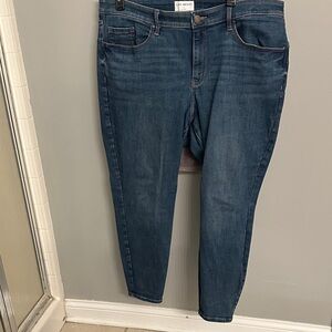 Lane Bryant Classic Blue Skinny Jeans